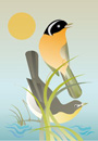 Common Yellowthroat