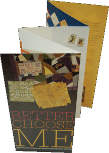 "Better Choose Me" brochure/poster