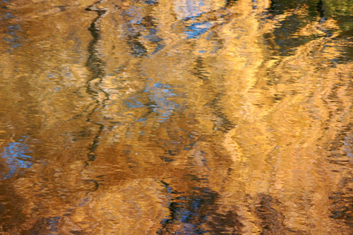 Water Reflections